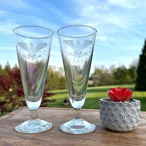 US Bald Eagle USAF Pilsner Beer Glasses Patriotic Barware